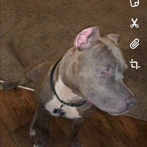 Meet your Posher, Bryan